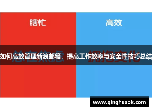 如何高效管理新浪邮箱，提高工作效率与安全性技巧总结